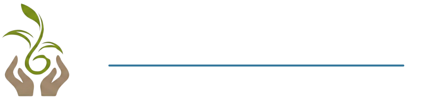 Evolve Training Solutions